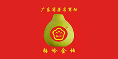 梅嶺金柚